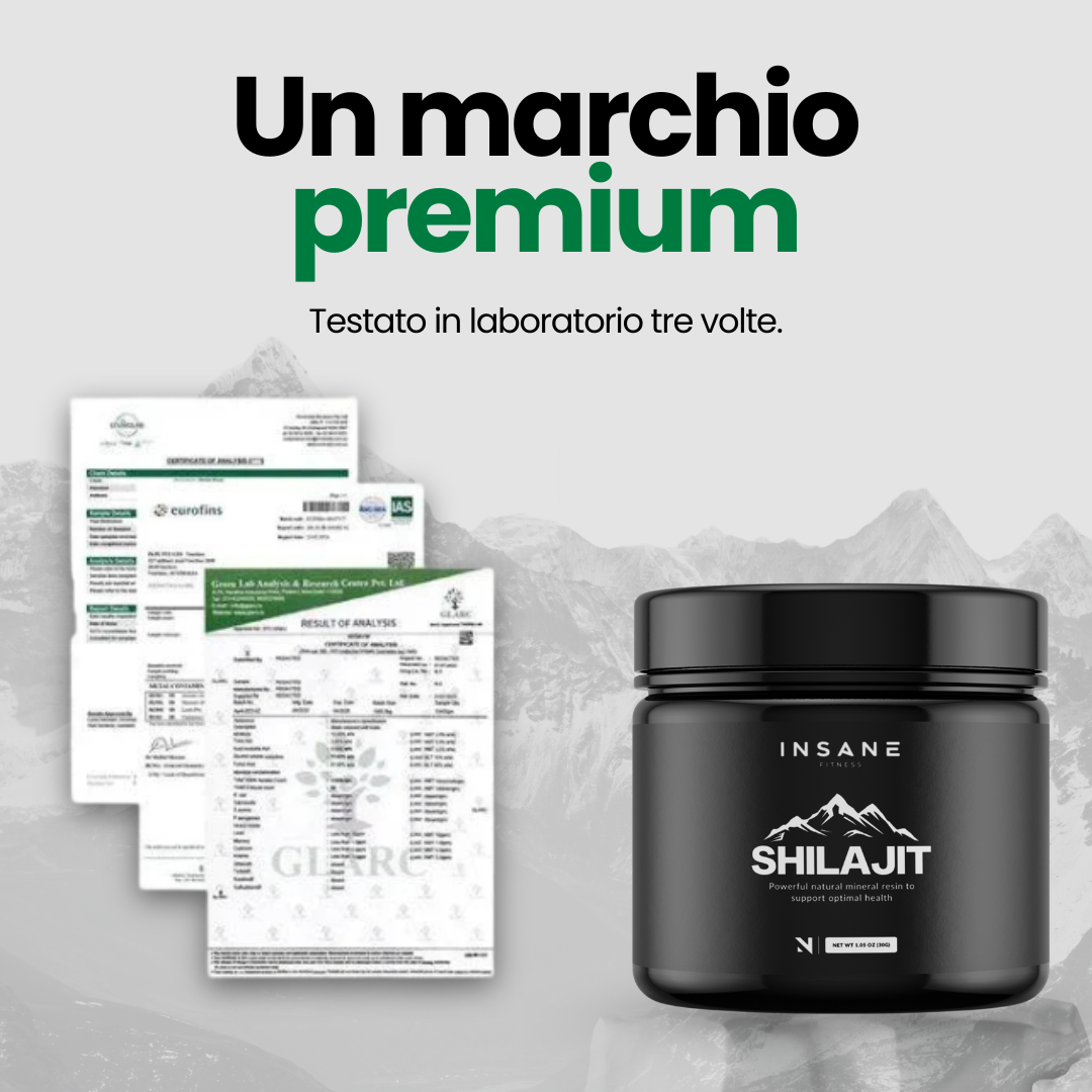 Shilajit Himalayano